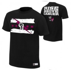 WWE футболка рестлера СМ Панка, Rise Above Cancer, CM Punk, черная